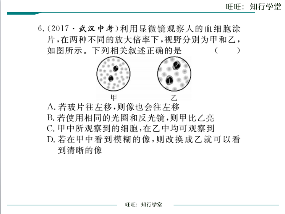 专题1  细胞和生物_06.png
