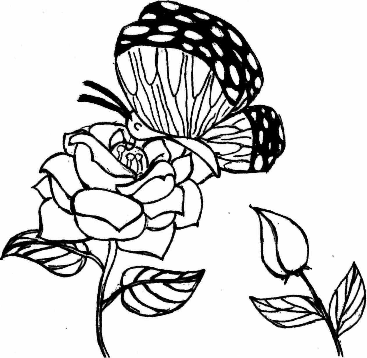 c73c88193ecaa3c1b84fde41fa4076b5.png