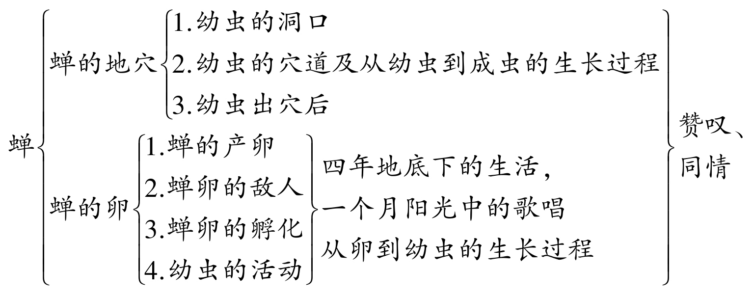 2cc9812308f51c973148a8089f3c5cca.png