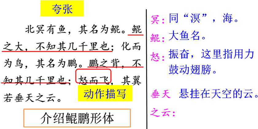 7e7dacfdd12e06820ca9330f72dd7046.png