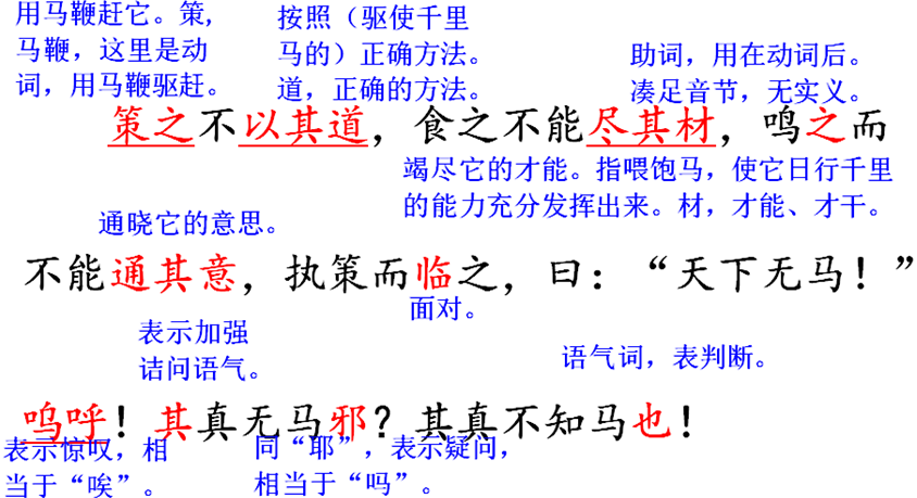098a5ab94bd28e4e70eedf1b6b23c75f.png