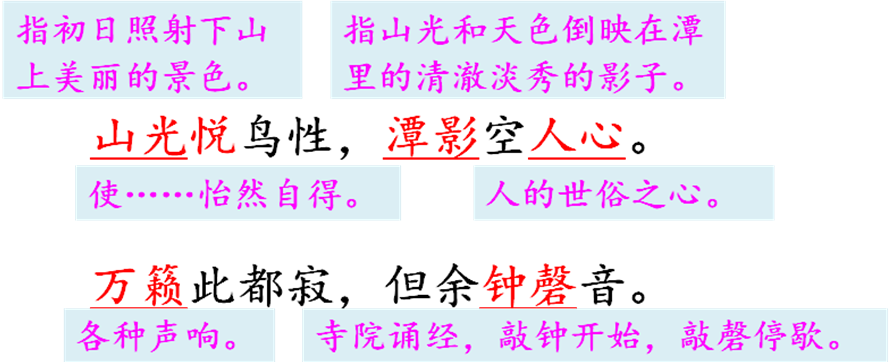 8ae6b9caf290eecaf0037f61431eb942.png