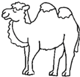 cb7ae74ca361a5aacd3f7ab410949c28.png