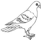 f49b4992bc33c6d7b64d4d86dc4ddcc5.png