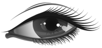 de974e6f6313a66fb488959712231821.png