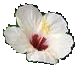 d2198d6483ea08b617a56af2a905cbc9.png