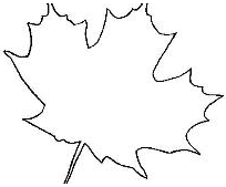 ad797aebc28e4d684189f82c8448deb1.png
