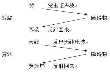 cf256c04194c12da0868afd7ef72f6fa.jpg