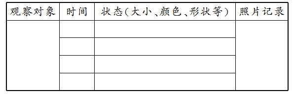 860640de2f3cac226c0eda2162c124b4.png