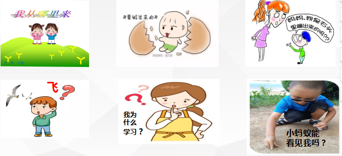 a6eb2bf9ffaca5b013d66877ee53d6d7.png