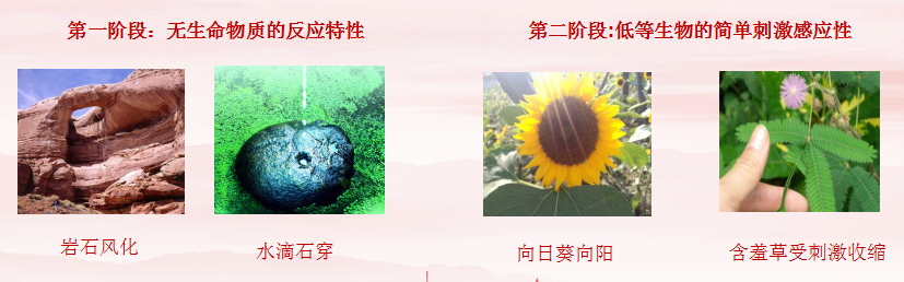 9d1b5c948866ec0454fc7516f4624f42.png