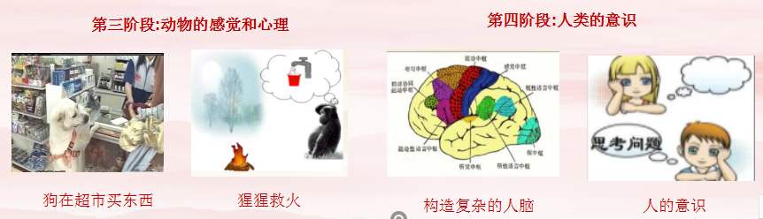 864149142fdab2ad57e641c953907034.png