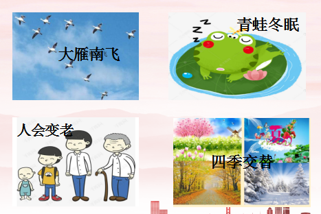 dd437d0d140d52efe5b21463733bb38d.png