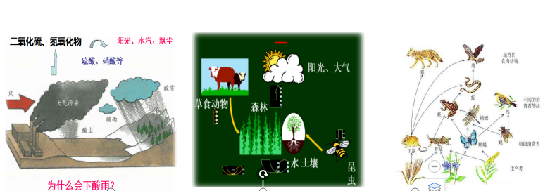 54f27bb870742421657c5749acca1a04.png