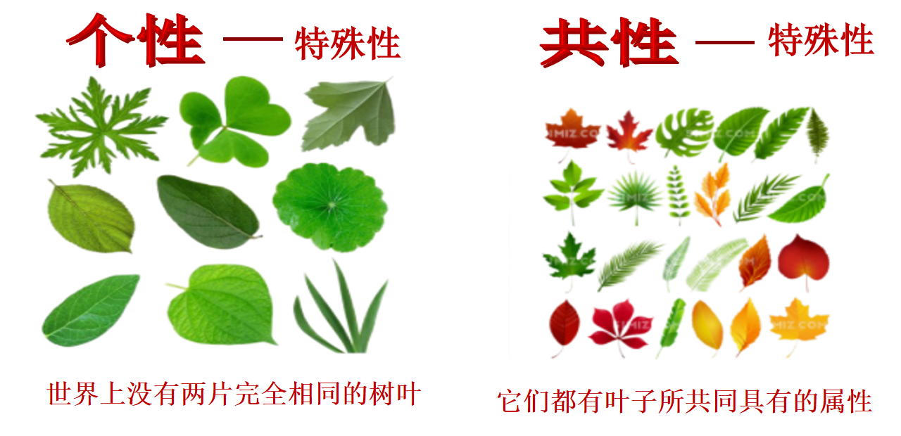 471621594d58aeb5618cbbe73fe8c664.png