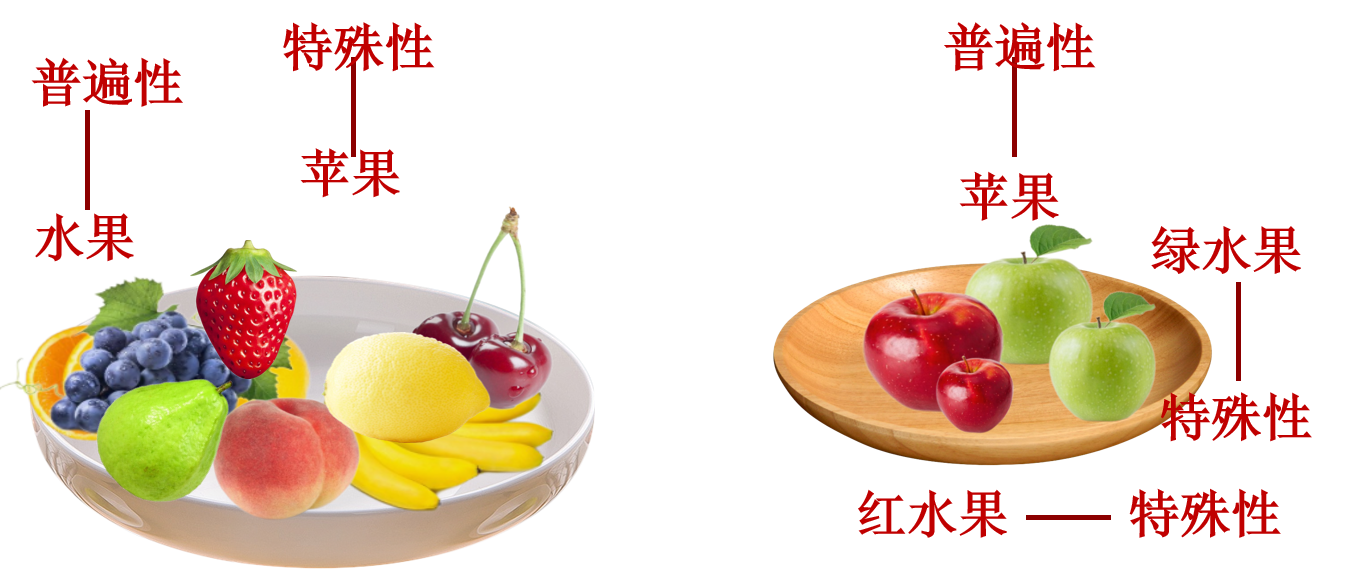 c1e9e6796abb4e5956c1200a148dface.png