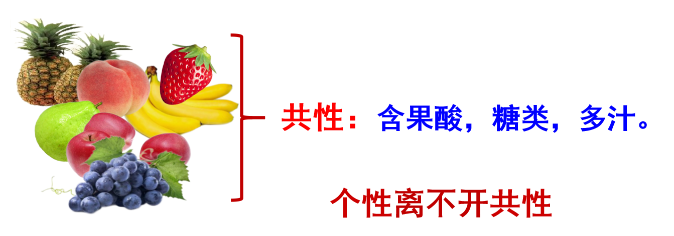 2eec6ff71483735d9ac788ae50db507f.png
