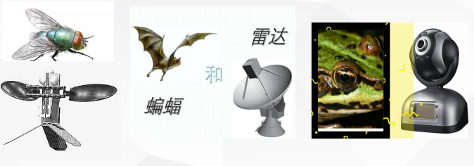 1175b1f376ebc64aaaa4404991a593c9.png