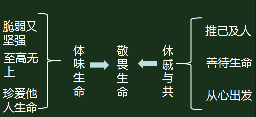 1fee080772645254b253d06e9f087d3a.png