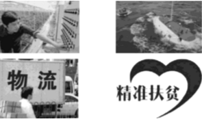 d763d043bdeb60ebb97d54adad707144.png