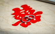 62195d4269cc7f797c18a10202088e79.png