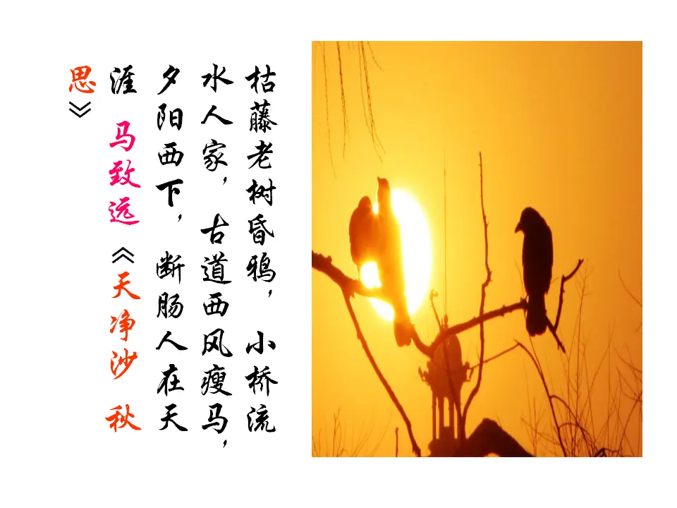 97高中语文必修1人教版高一语文必修2课件：第2课 故都的秋2_05.webp