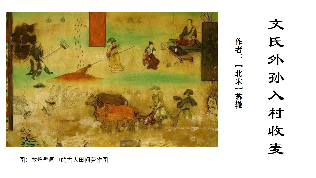 44高中语文必修1《6.2 文氏外孙入村收麦》名校名师PPT课件_01.webp