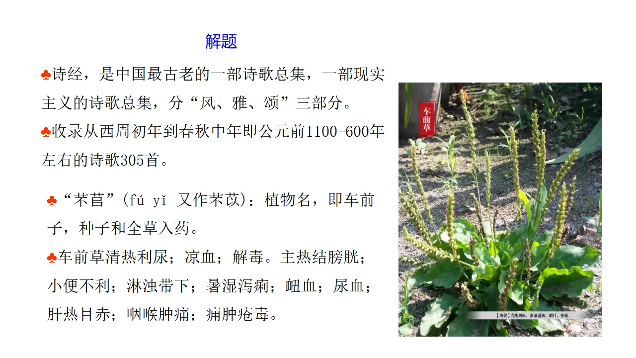 42高中语文必修1《6.1 芣苢》集体备课ppt课件.ppt_05.webp