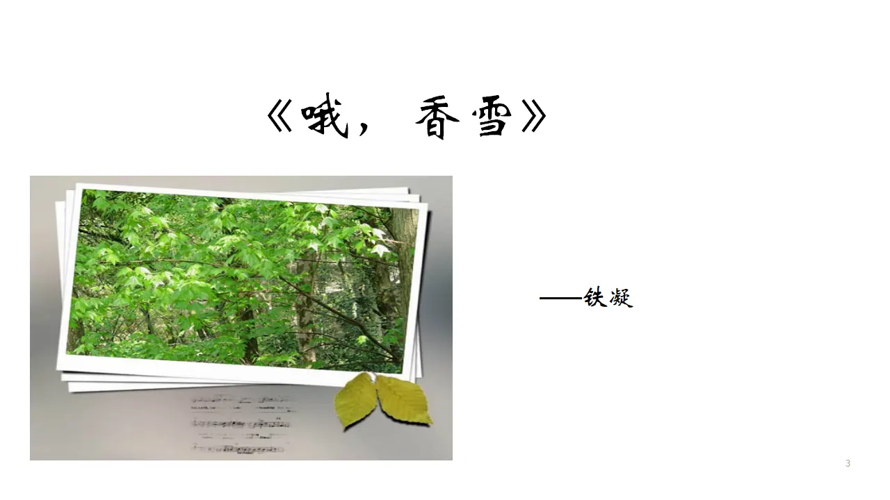 25高中语文必修1《3.2 哦，香雪》优质教学课件_03.webp