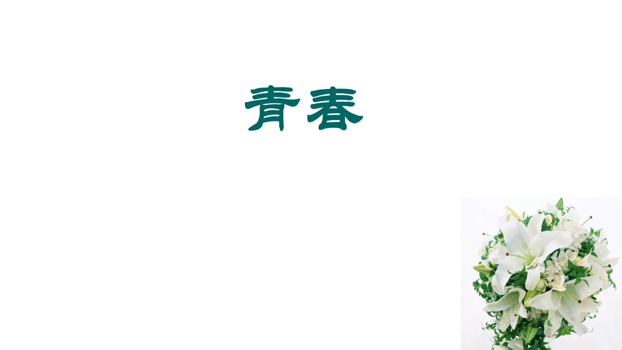 24高中语文必修1《3.1 百合花》集体备课ppt课件.ppt_05.webp