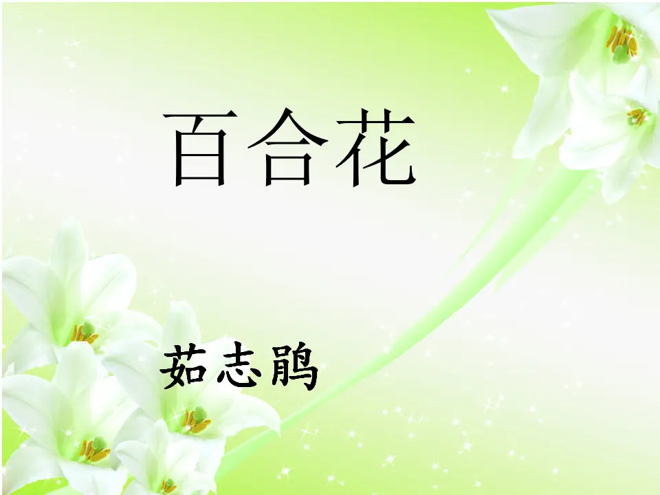 23高中语文必修1《3.1 百合花》获奖说课课件ppt_01.webp