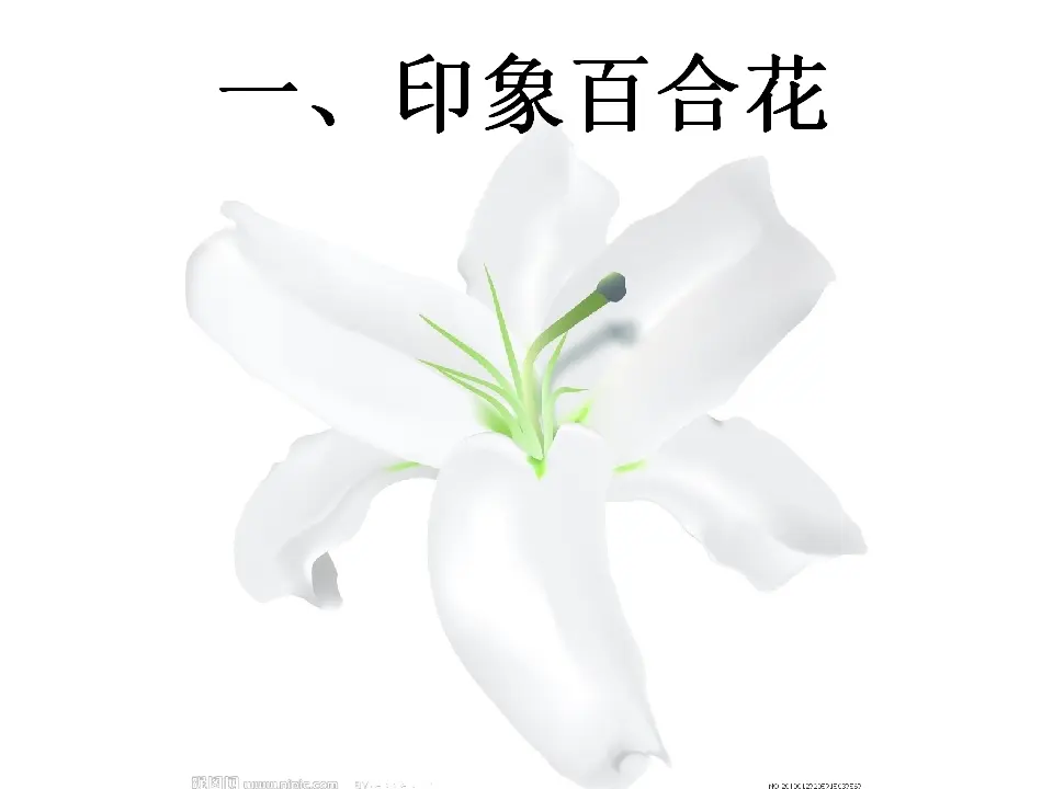 23高中语文必修1《3.1 百合花》获奖说课课件ppt_02.webp