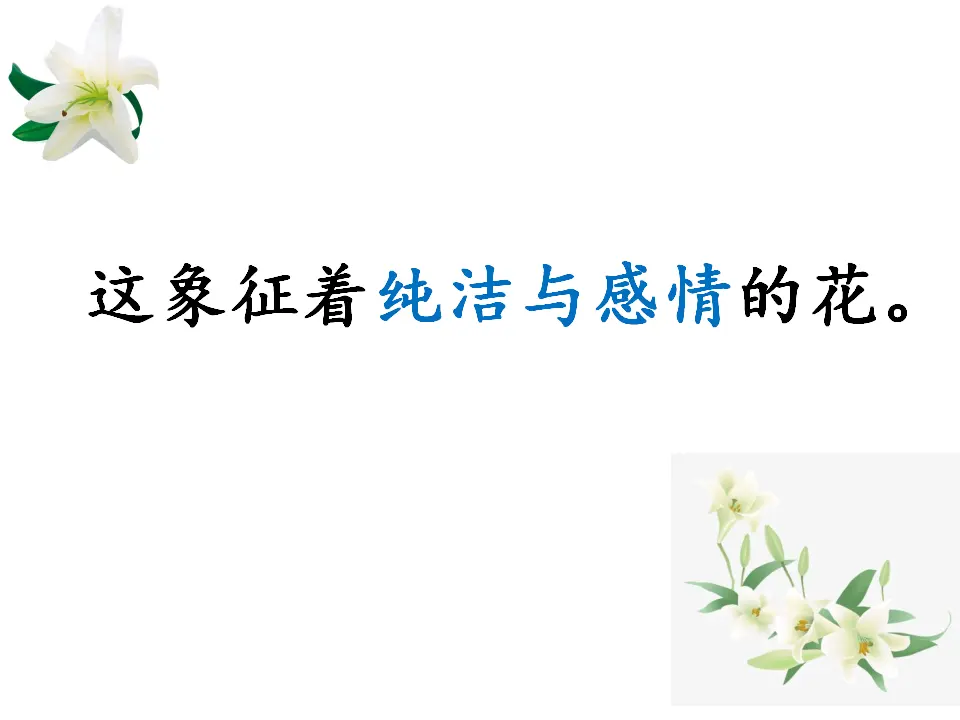 23高中语文必修1《3.1 百合花》获奖说课课件ppt_03.webp