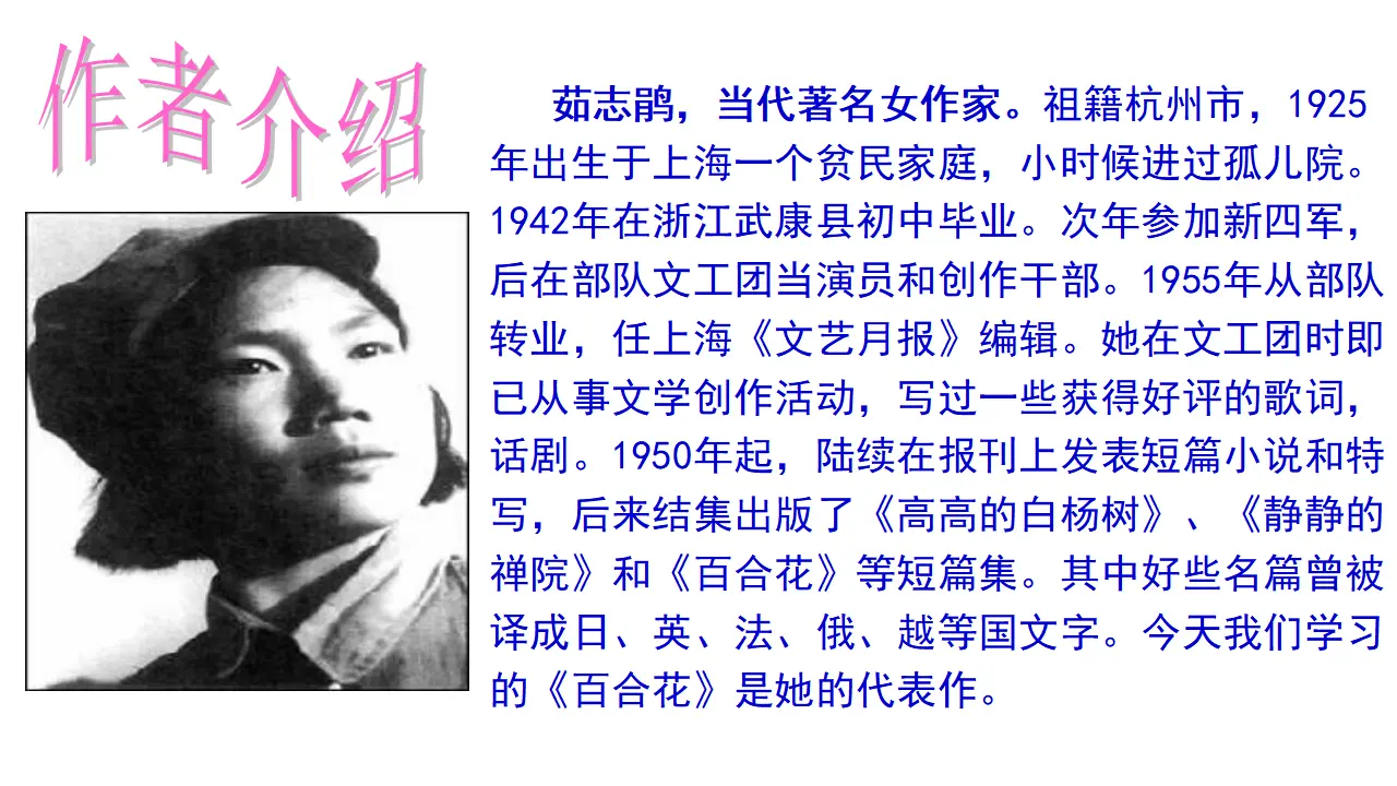 22高中语文必修1《3.1 百合花》多媒体精品ppt课件.ppt_04.webp