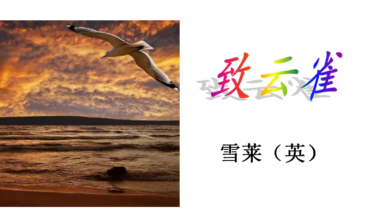 20高中语文必修1《2.4 致云雀》名校名师PPT课件_03.webp