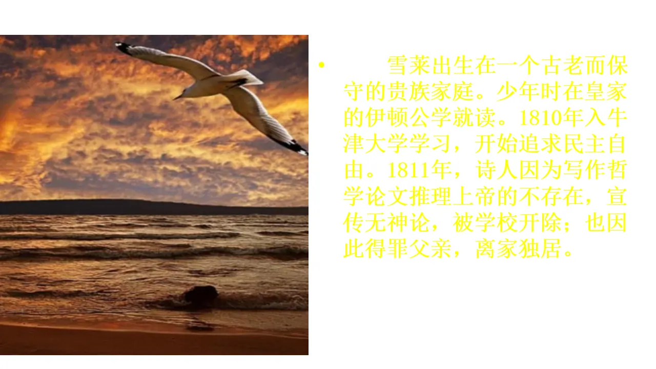 20高中语文必修1《2.4 致云雀》名校名师PPT课件_05.webp