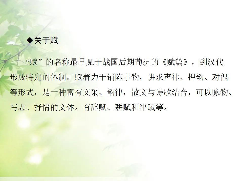 117高中语文必修1第三章__第9课__赤壁赋_04.webp