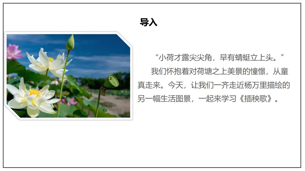 04高中语文必修16.2《插秧歌》（课件）-2020-2021学年高一语文新教材同步备课（部编版必修上册）共36张PPT_02.webp