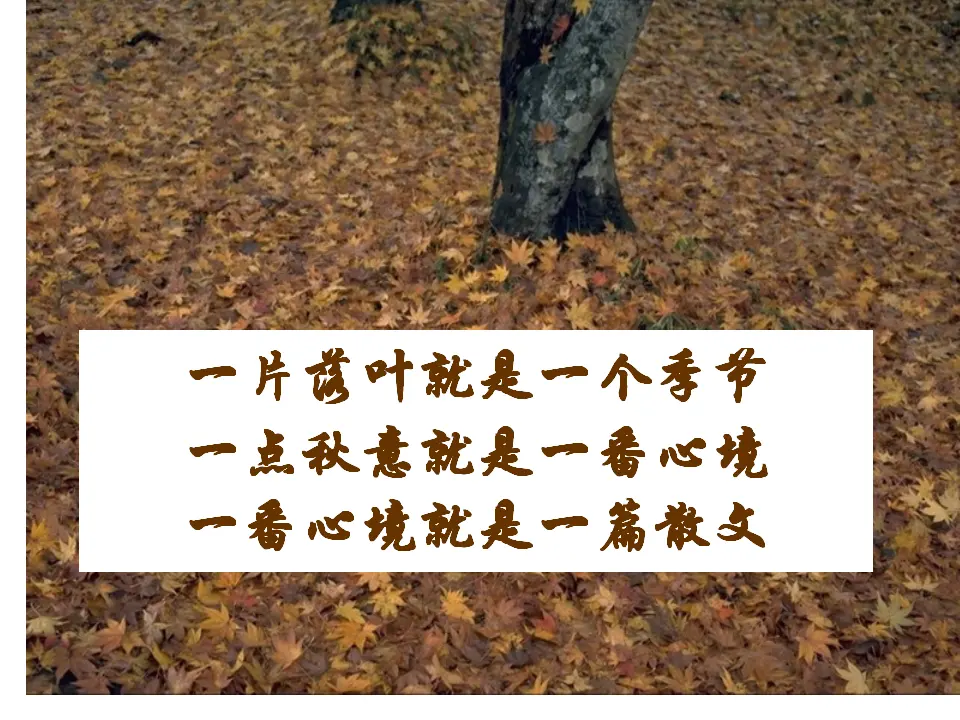 03高中语文必修12、故都的秋_01.webp