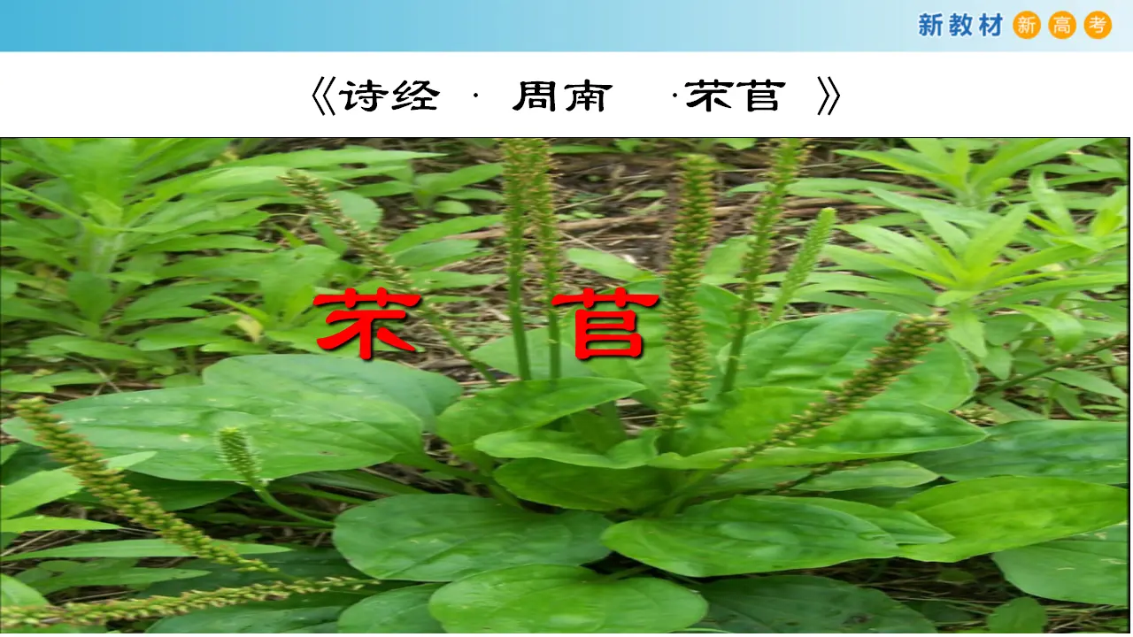 139高中语文必修12.6.1 芣苢课件_03.webp