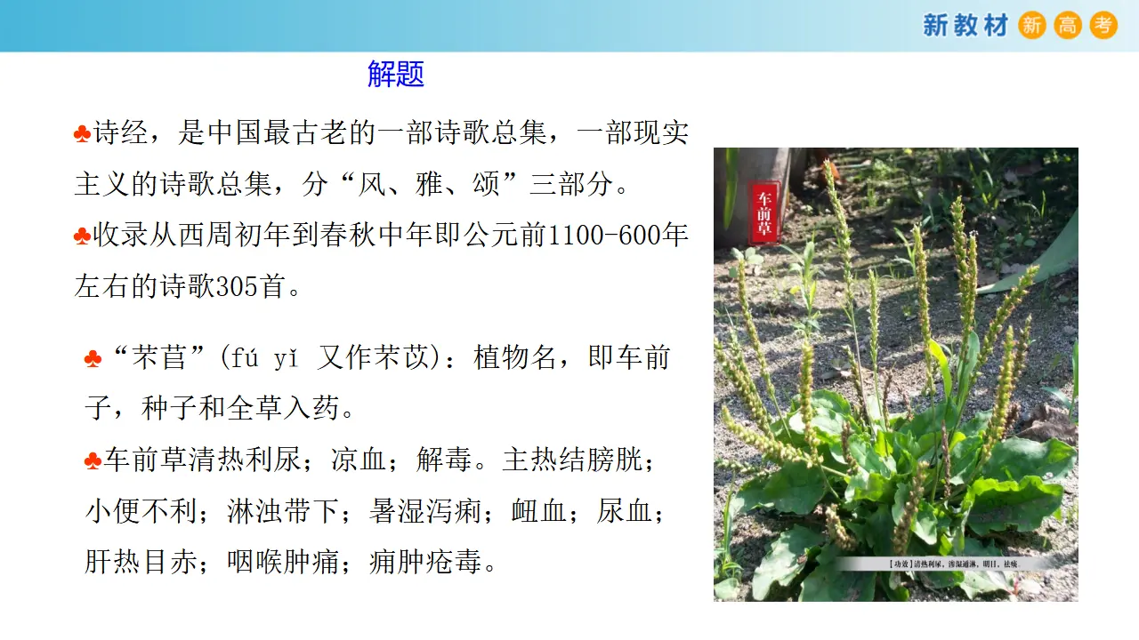 139高中语文必修12.6.1 芣苢课件_05.webp