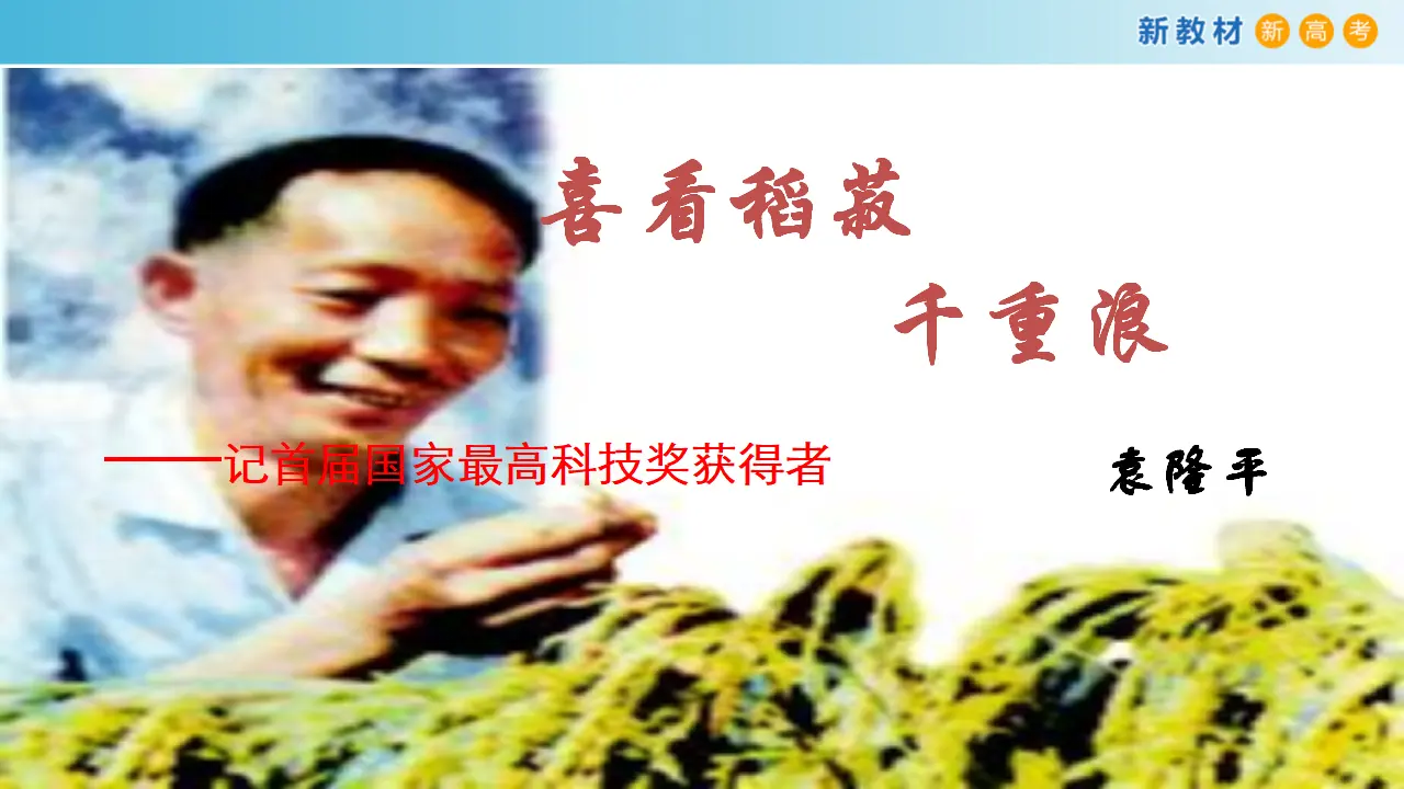 135高中语文必修12.4.1 喜看稻菽千重浪--记首届国家最高科技奖获得者袁隆平课件_03.webp