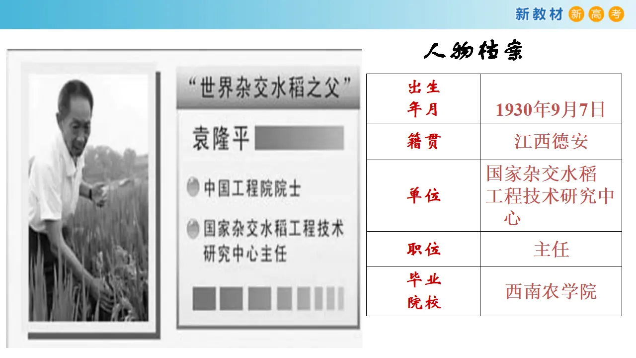 135高中语文必修12.4.1 喜看稻菽千重浪--记首届国家最高科技奖获得者袁隆平课件_05.webp