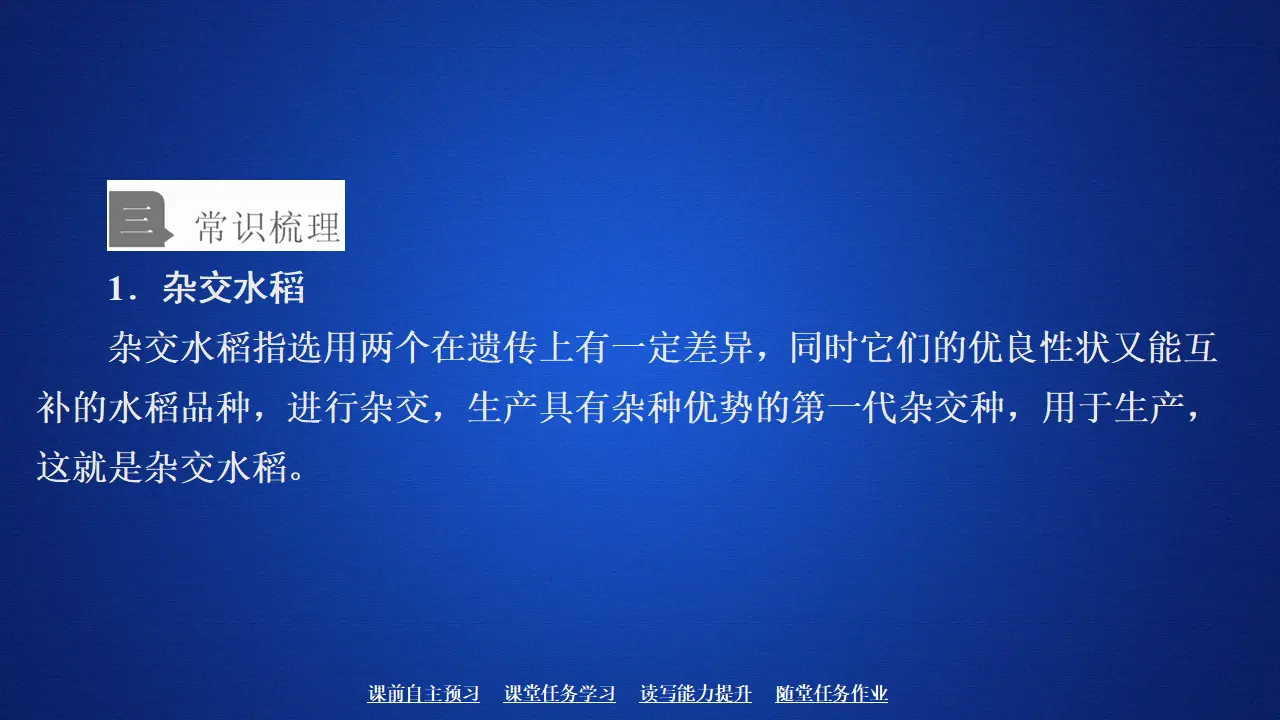 213高中语文必修1第二单元  第4课  喜看稻菽千重浪_04.webp