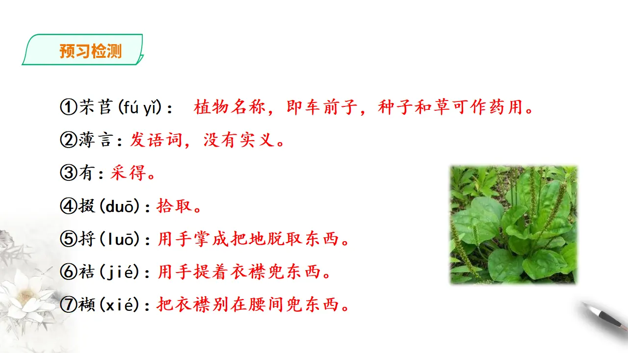 249高中语文必修1统编版高中语文必修一6《芣苢》《文氏外孙入村收麦》_05.webp