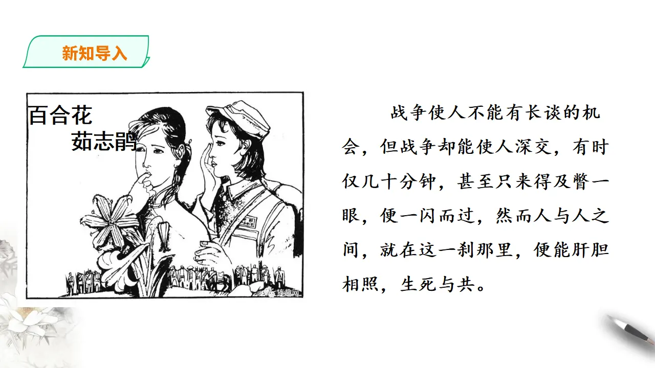 240高中语文必修13部编版高中语文必修一百合花_02.webp