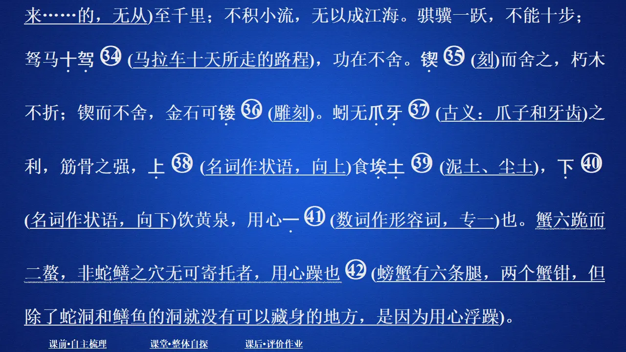 325高中语文必修1第六单元  课时优案1_05.webp