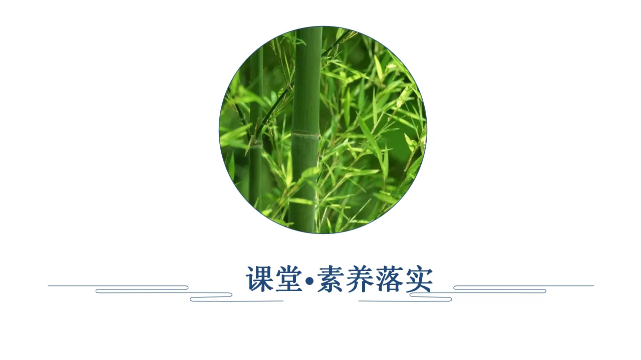 322高中语文必修1第八单元  课时优案1_04.webp