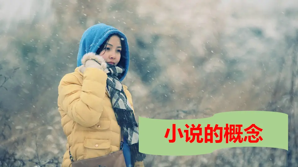 小说阅读综述（教学课件）_04.webp