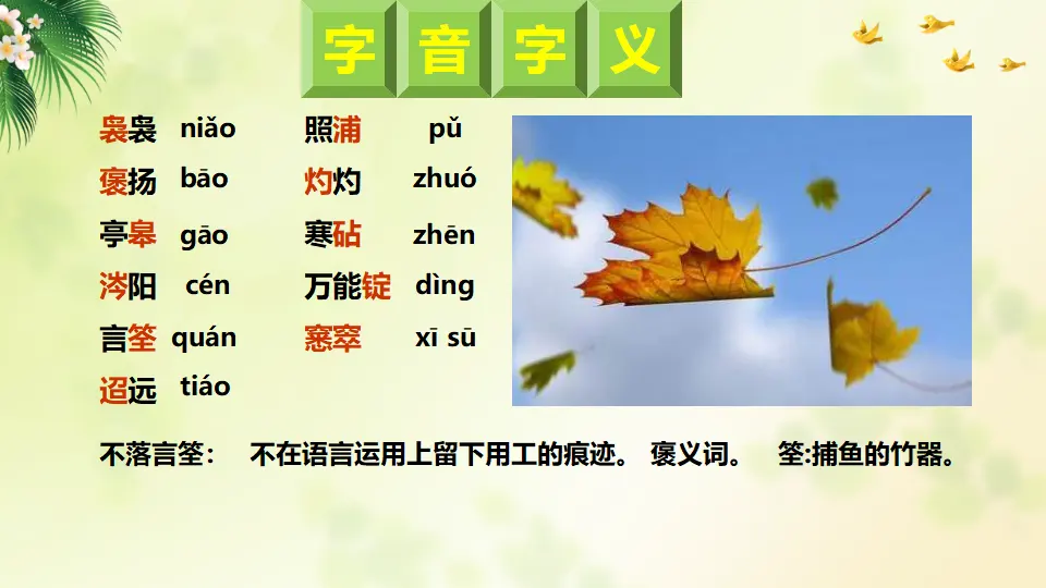 《说“木叶”》（教学课件）_04.webp